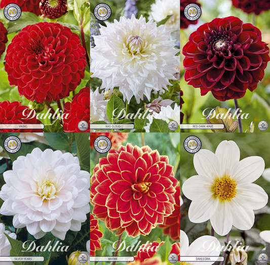 Collectie fluwelen harten