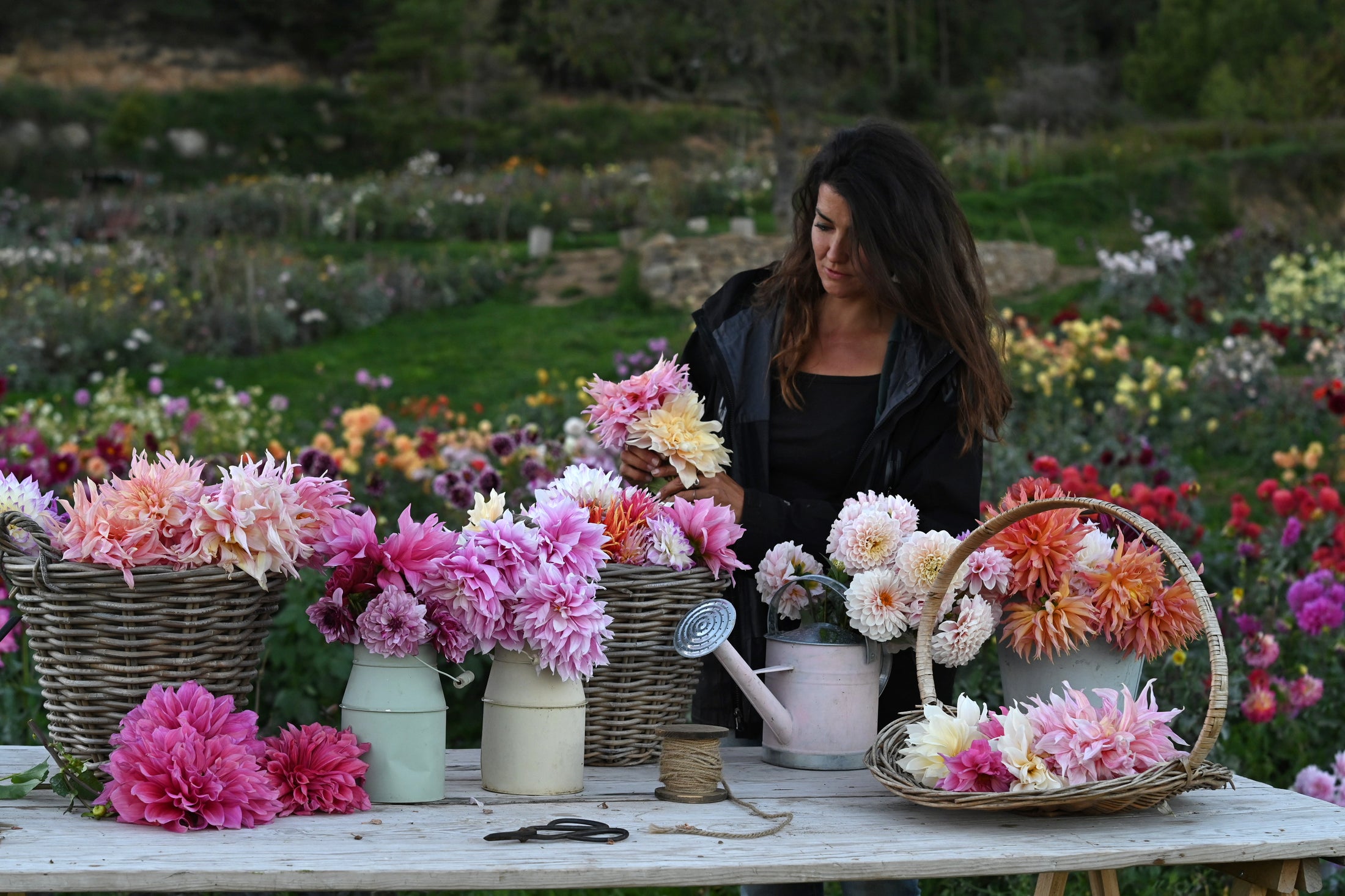 Bollen voor snijbloemen
