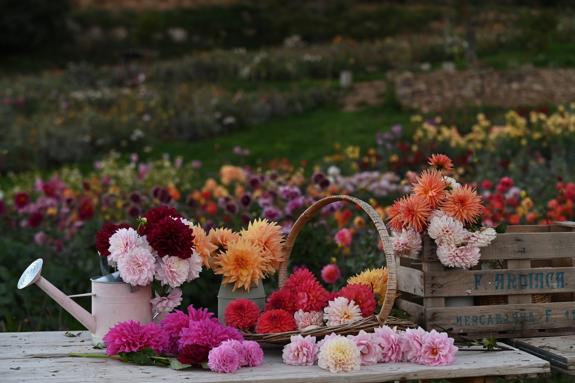 DSC_6279.JPG__PID:e2d354d6-ecaa-443c-b571-94404302be19