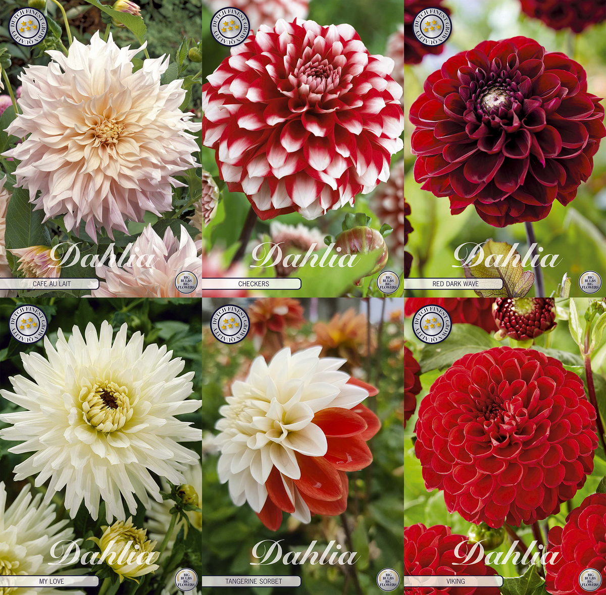 Collectie Growing Love