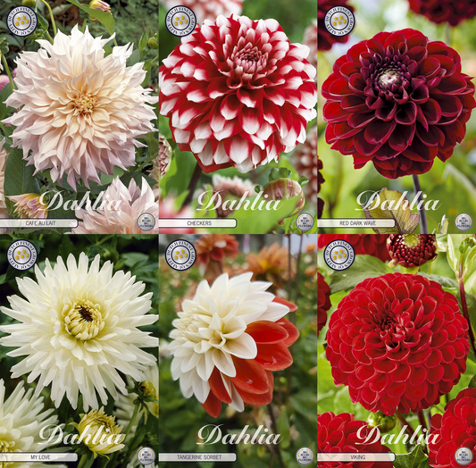 Collectie Growing Love