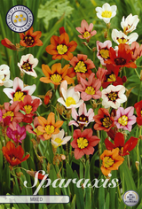 Sparaxis Gemengd