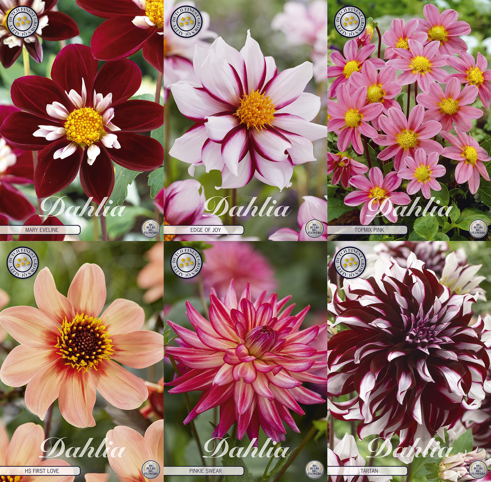 Unieke Harten Collectie