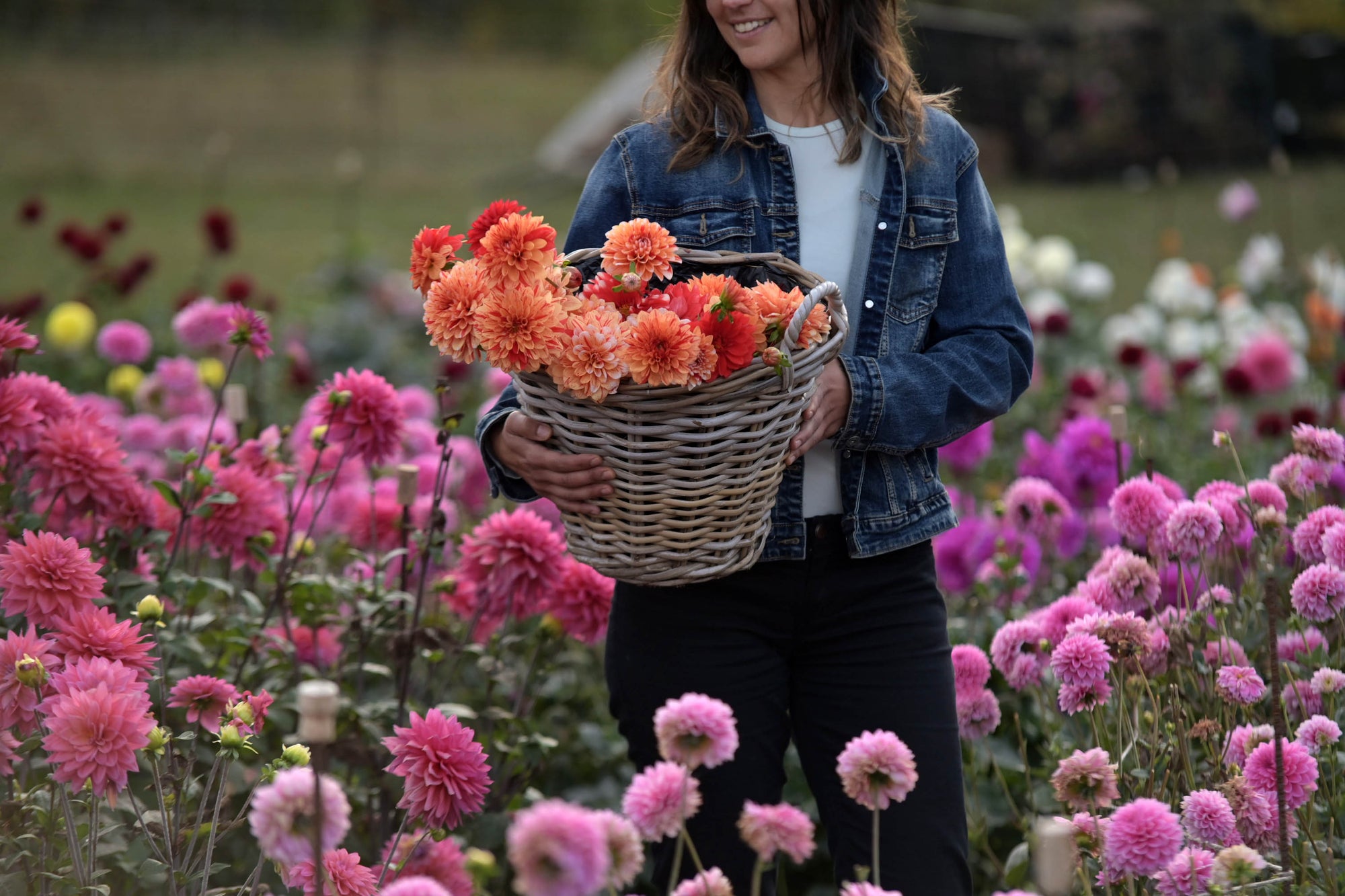 100% Groei- en Bloeigarantie