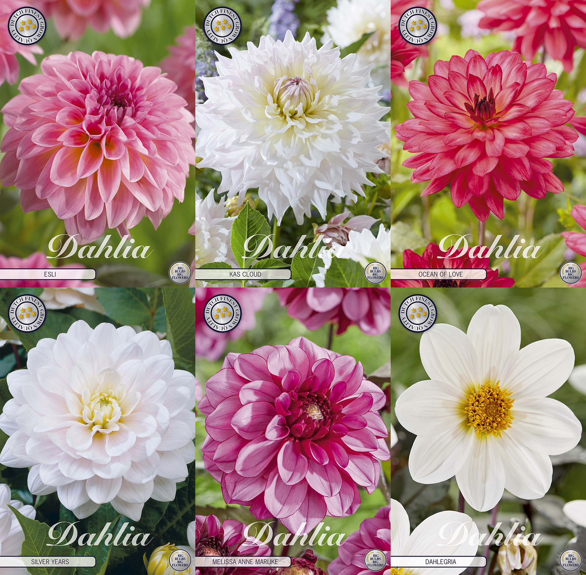 Collectie Roze Harten