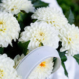 Collectie Witte Tuindromen